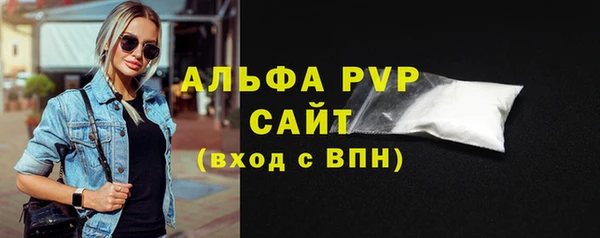 стафф Арсеньев